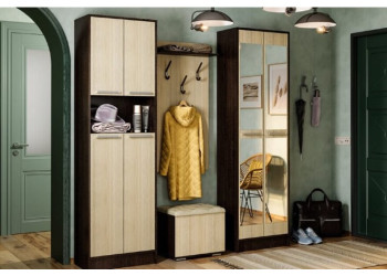 Модульная прихожая Некст БТС