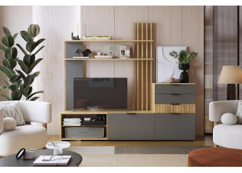 Модульная гостиная Бери