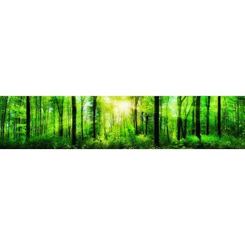 Пристеночная панель SP 120