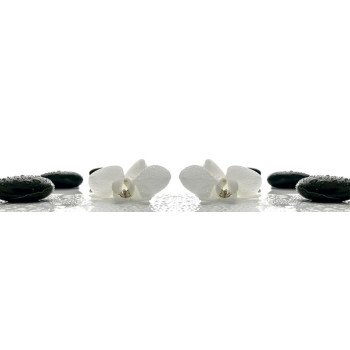 Пристеночная панель MSK Белые орхидеи