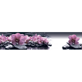 Пристеночная панель MSK Орхидеи на камнях