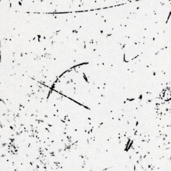 Столешница Кедр (к3) 2919/S Асимметрия (длина 4.1 м)