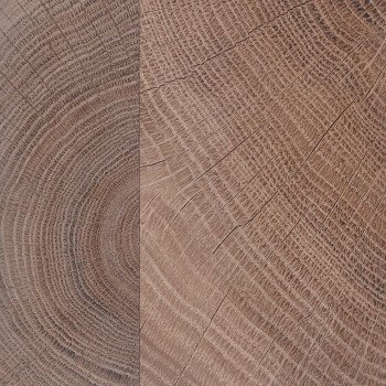 Стеновая панель Троя Стандарт 4-я группа цвет: 2077/С Дуб поперечный тёмный