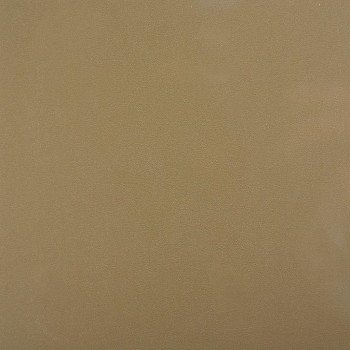 Стеновая панель Троя Стандарт 10-я группа цвет: dh6 lucida