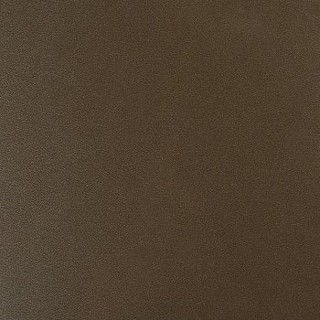 Стеновая панель Троя Стандарт 10-я группа цвет: dl2 lucida