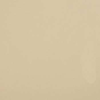 Стеновая панель Троя Стандарт 9-я группа цвет: 0225 luc Темно-кремовый ГЛЯНЕЦ