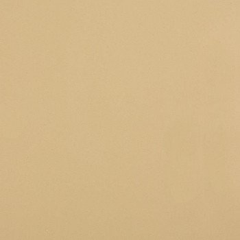 Стеновая панель Троя Стандарт 9-я группа цвет: 0536 luc Кофе с молоком ГЛЯНЕЦ