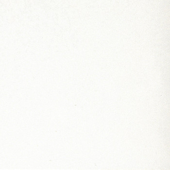 Угловая столешница Троя Стандарт 3-я группа цвет: 2001/MF Белый компенсационный