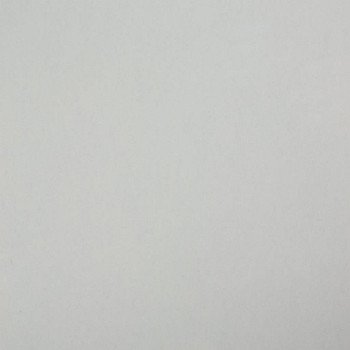 Стеновая панель Троя Стандарт 1-я группа - цвет: 1110/SO Белый (длина 4.1м)