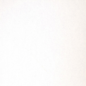 Стеновая панель Троя Стандарт 2-я группа - цвет: 1110/Е Белый (длина 4.1м)