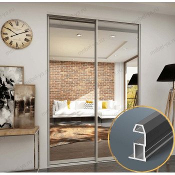 Дверь купе зеркало серебро (в профиле ms-161)