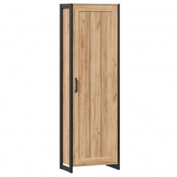 ЛД 678.060 Шкаф одностворчатый 602*1900 Техно