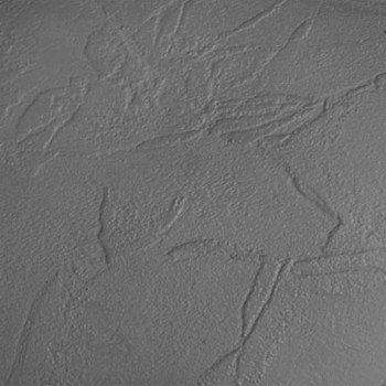 Столешница HPL Compact - Цвет: Графит 2754