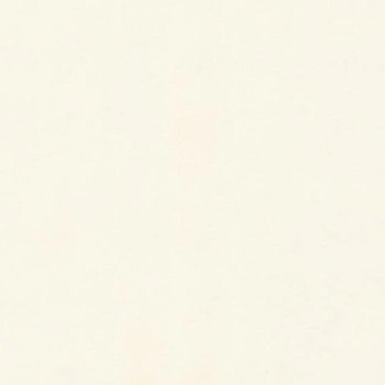 Стеновые панели для кухни СОЮЗ Классик - Цвет: Белый 0010г (ГЛЯНЕЦ)