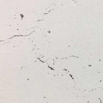 Стеновые панели для кухни СОЮЗ Классик - Цвет: Мрамор Марквина белый 3028г (ГЛЯНЕЦ)