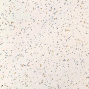 Стеновые панели для кухни СОЮЗ Премиум плюс - Цвет: Капелла 976м