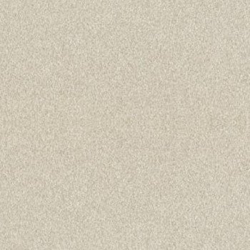 Стеновые панели для кухни СОЮЗ Премиум плюс - Цвет: Палладио светлый 1050аг (ГЛЯНЕЦ)