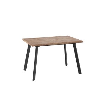 Стол Борг 120