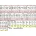 23.50 Милана 23 Стол под мойку 60