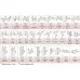 Рубин 41 Мебель для персонала (вариант 1)